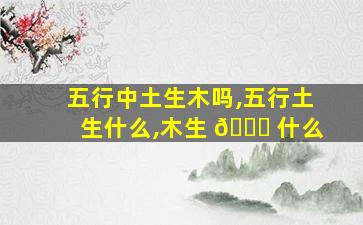 五行中土生木吗,五行土生什么,木生 🍁 什么